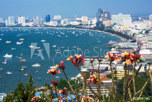 Picture of Flowers with out of focus view of Pattaya